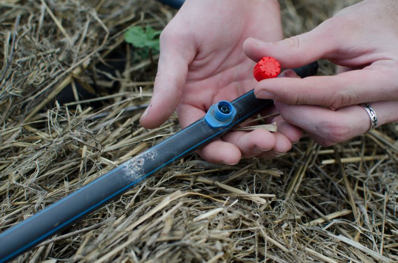 Drip Irrigation Installation detail