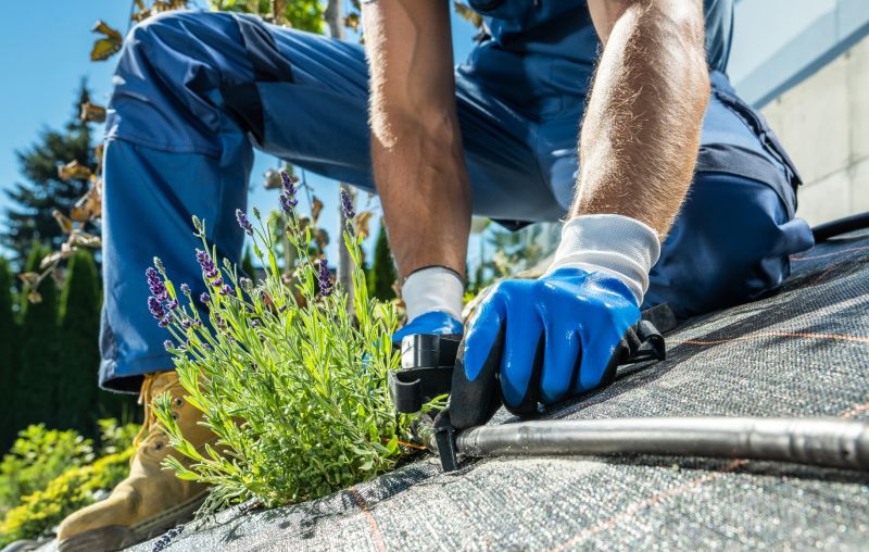 Drip Irrigation Installation detail