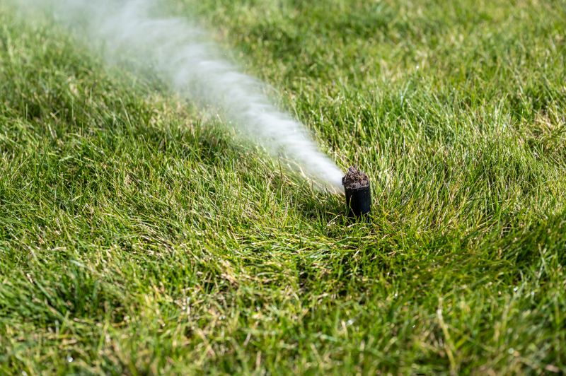 Sprinkler Winterizing Service detail