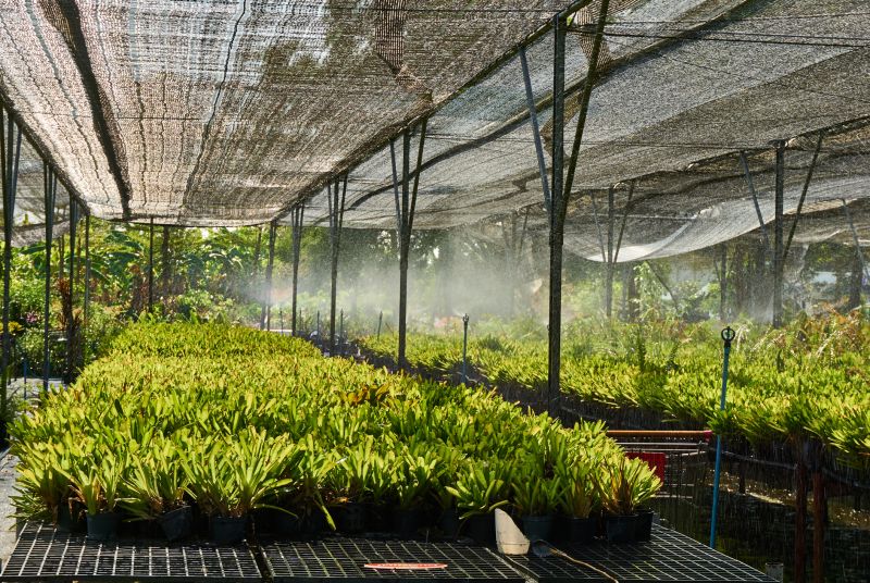 Mist Irrigation Installation