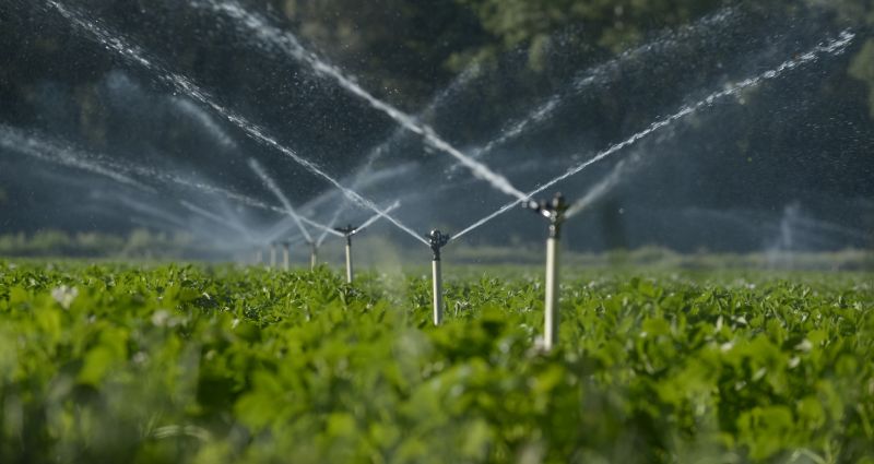 Smart Irrigation Technology