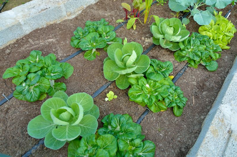 Underground Irrigation Service