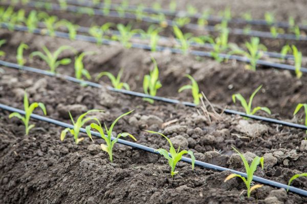 Irrigation System Repair in Acworth