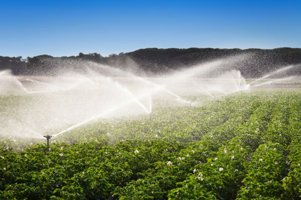 Irrigation System Winterization in Acworth