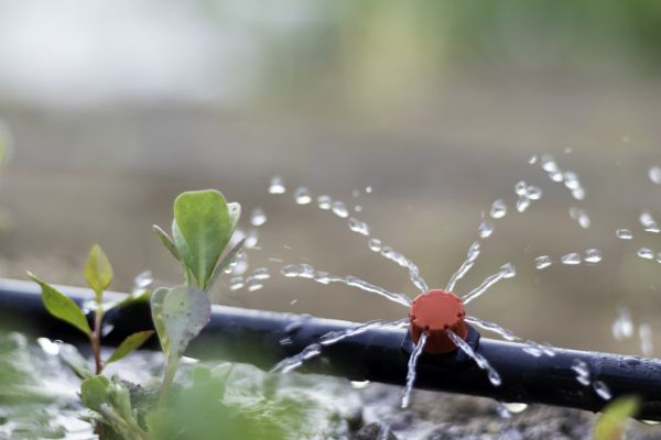 Drip Irrigation Service in Acworth