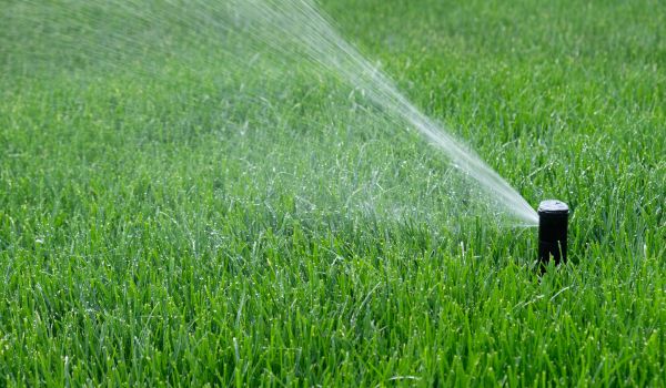Sprinkler Head Installation in Acworth