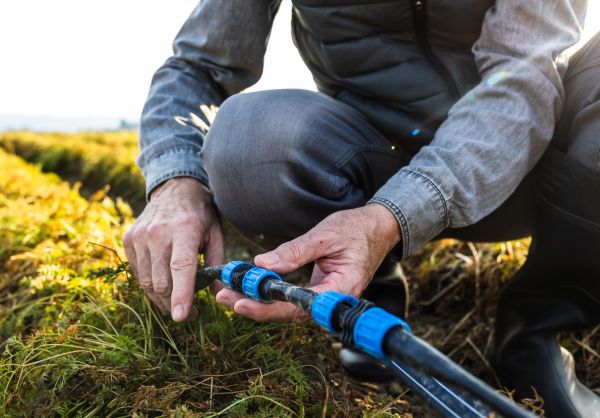Irrigation Line Repair in Acworth