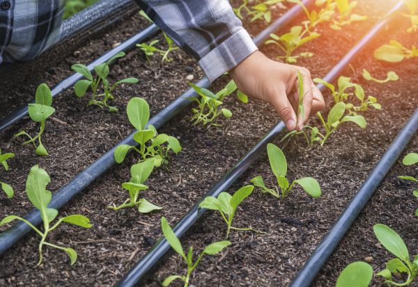 Inground Irrigation Service in Acworth