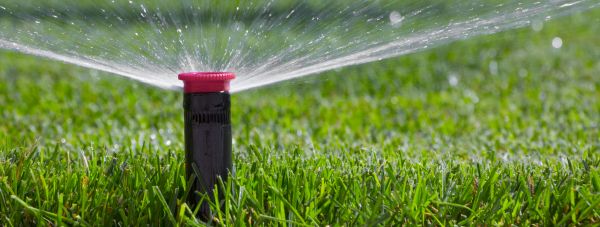 Sprinkler Head Replacement in Acworth