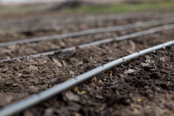 Drip Irrigation Installation in Acworth