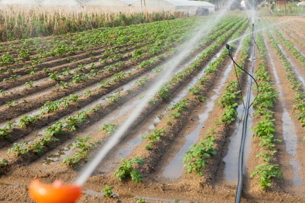 Farm Irrigation Installation in Acworth