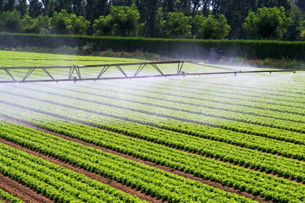 Mist Irrigation Installation in Acworth