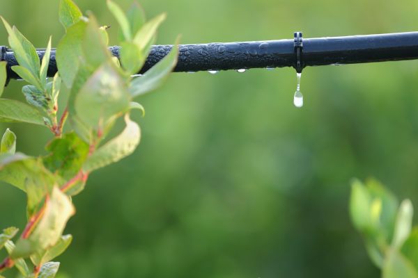 Drip Line Replacement in Acworth
