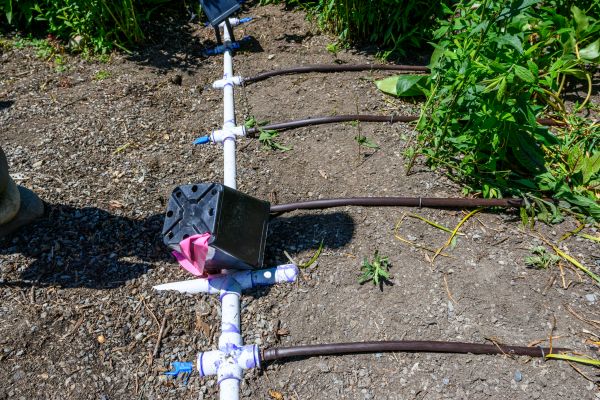 Irrigation Pipe Replacement