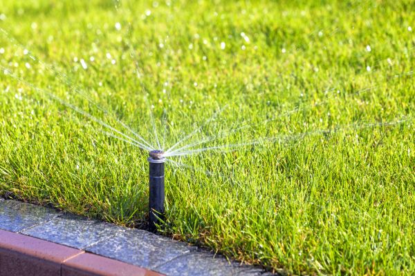 Sprinkler System Cleaning